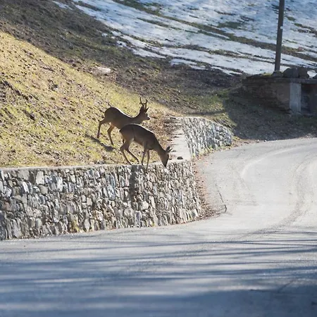 Apartment Grand-haury Da Andrea 2 *