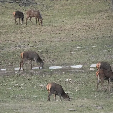 Grand-haury Da Andrea 2 Appartement Arvier